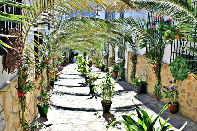 Casas Rurales Los Algarrobales — photo 18