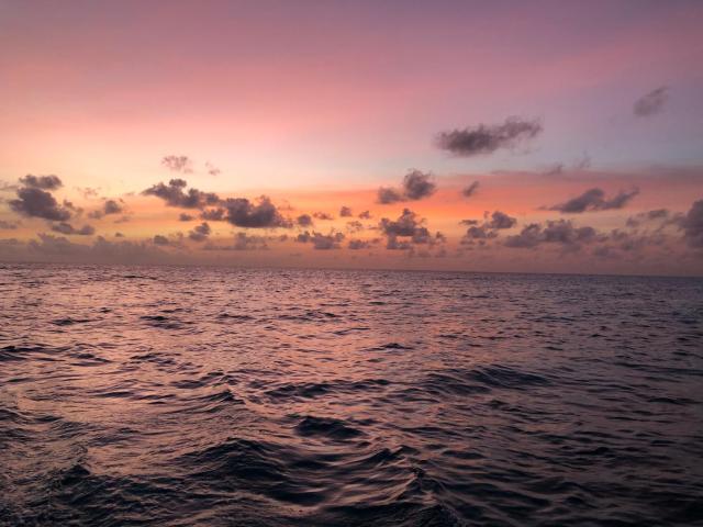 Old Town Inn Maldives — photo 20