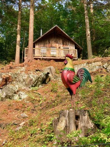 Grunberg Haus Inn & Cabins — photo 24
