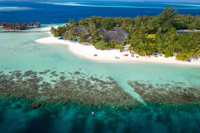 Vilamendhoo Maldives Resort Island — photo 8