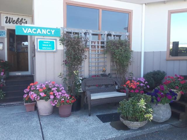 Webb's Scenic Surf — photo 9