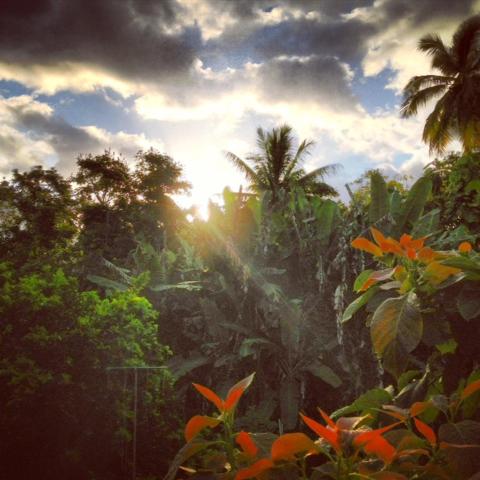 Heavenly Hana Paradise — photo 11