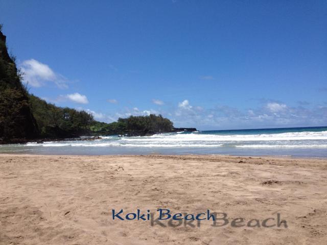 Heavenly Hana Paradise — photo 17