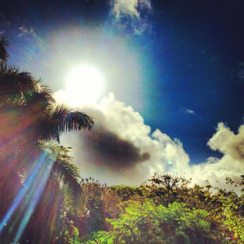 Heavenly Hana Paradise — photo 18