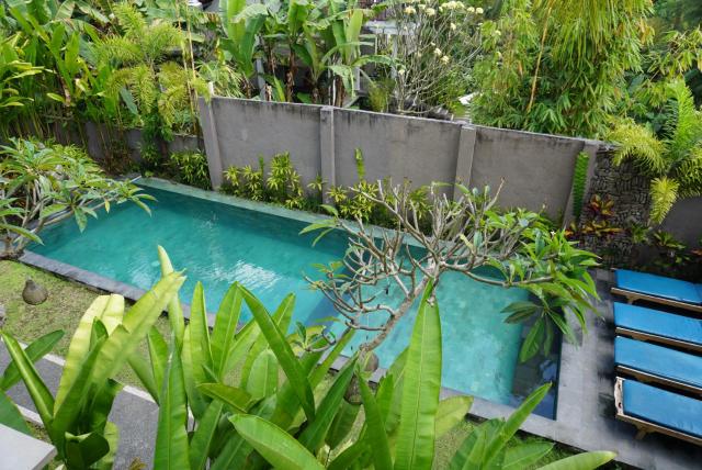 Bali Sila Bisma — photo 18