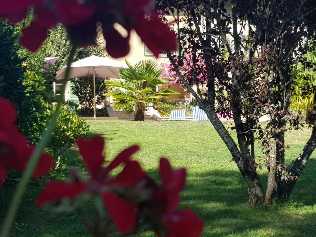 Sous les Remparts — photo 10