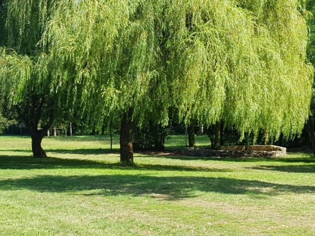 Sous les Remparts — photo 9