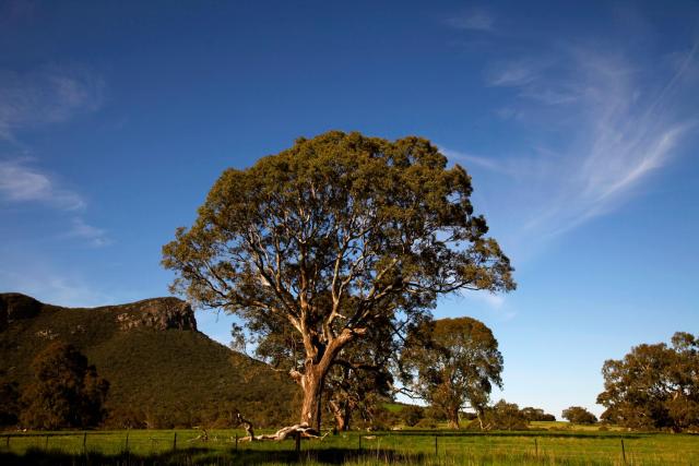 Dunkeld Village Accommodation — photo 19