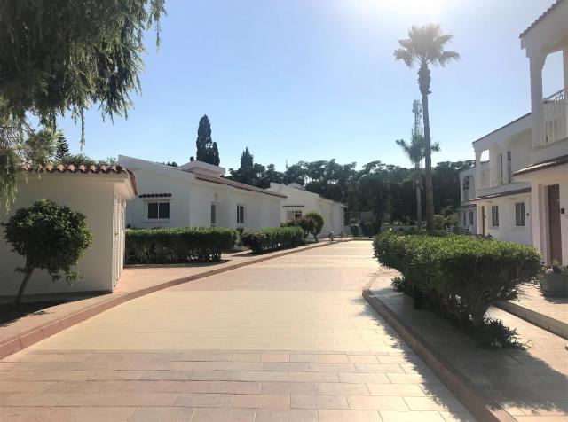 Fig Tree Z Holiday Resort — photo 10