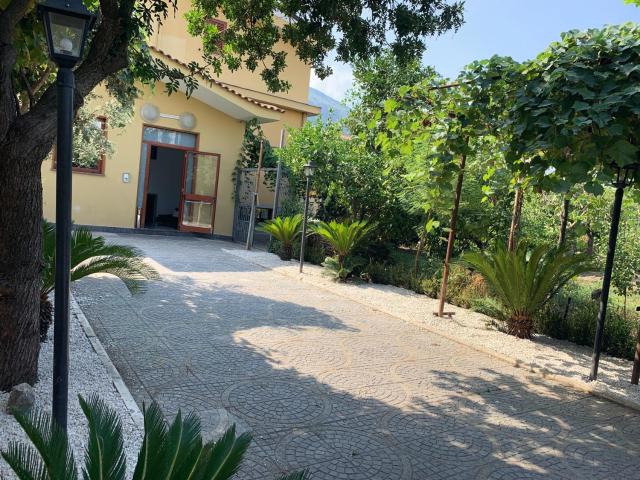 Hotel Due Pini Conte — photo 10