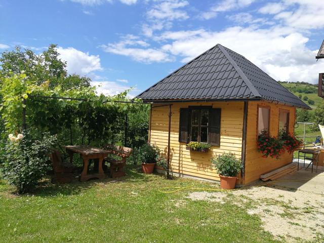 Guesthouse Blazenka Hodak — photo 15