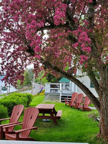Lake View Motel & Suites — photo 7
