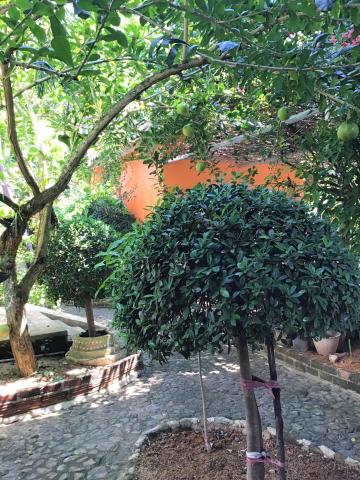Pratum Resort — photo 18