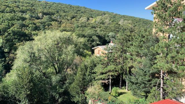 Al bosco incantato — photo 6
