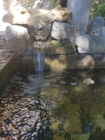 Amiran's Lake — photo 18