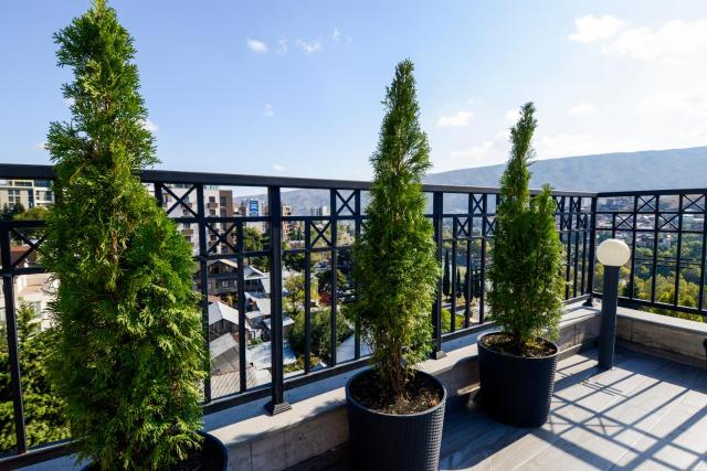 Hotel Avlabari Terrace — photo 22