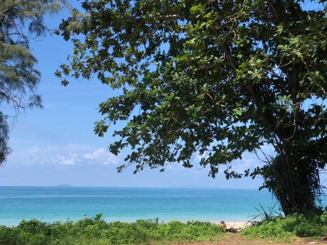 DolceVita Wonderful Resort — photo 24