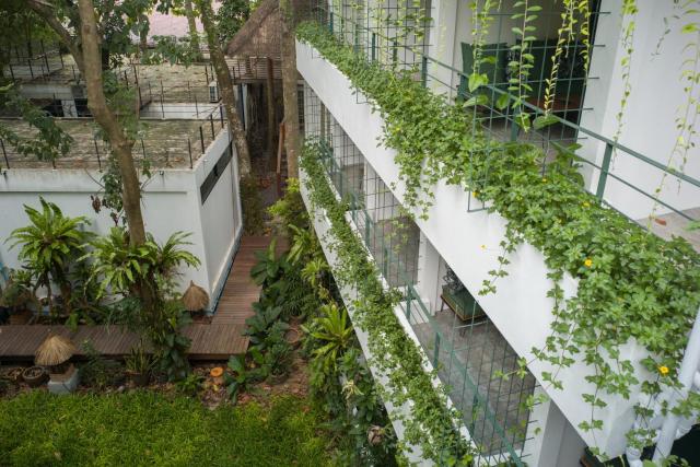 Big Tree Boutique Hotel — photo 22