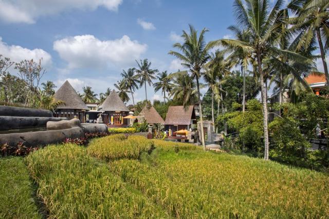 Green Field Resort Ubud — photo 9