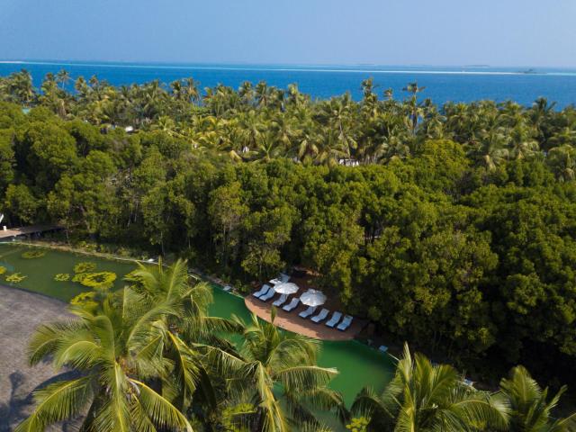 Dreamland Maldives — photo 7