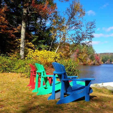 Cedar Hill Farm Bed & Breakfast — photo 7