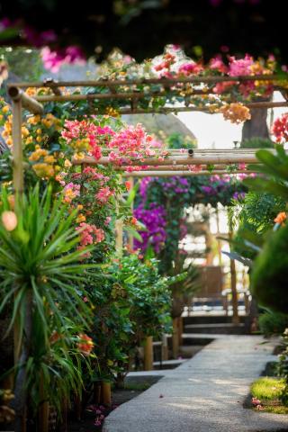 Bambu Cottages — photo 9