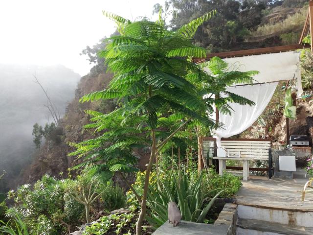 La cueva de Ángel B&B — photo 8