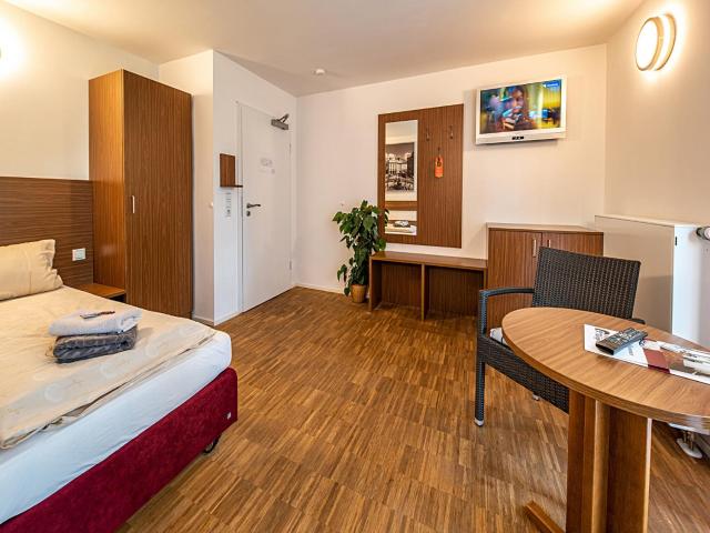 Pension zum Bergmann — photo 19