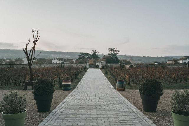 Chateau de Chassagne-Montrachet — photo 18