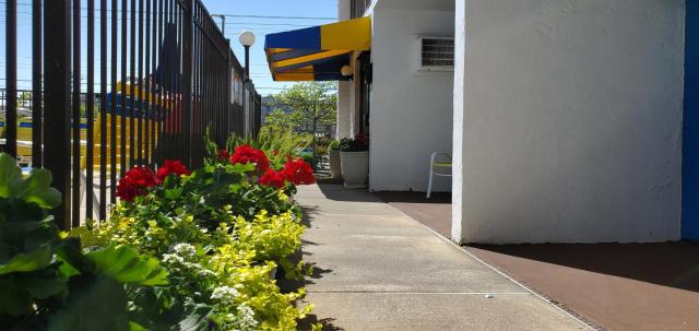 Sea Hawk Motel — photo 9