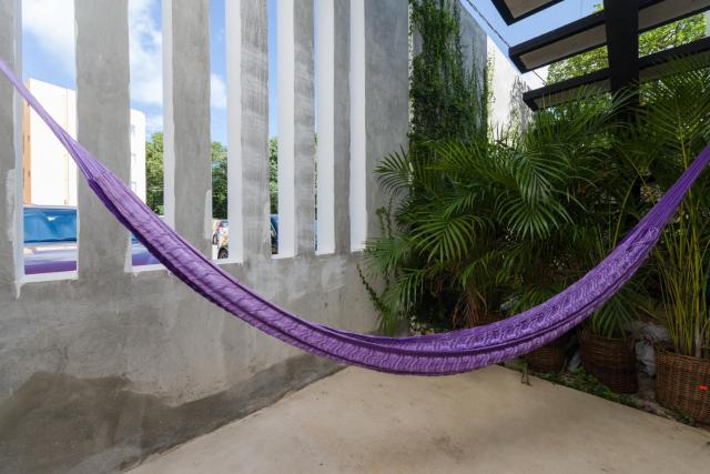 Stay Tropical — photo 15