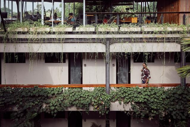 Outpost Ubud Penestanan — photo 19