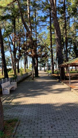 Hotel Estonia Two — photo 7