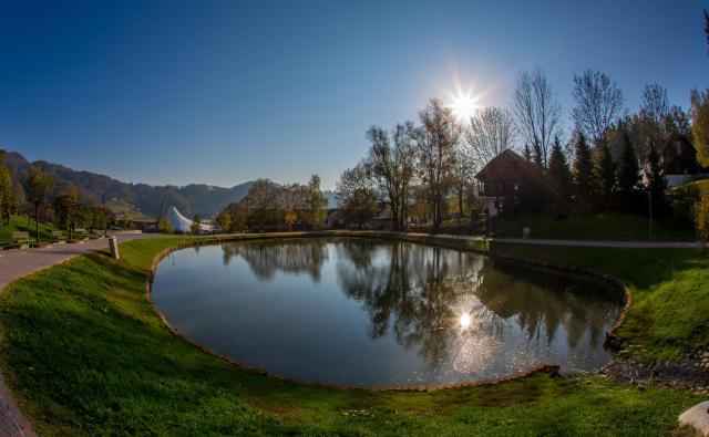 Terme Olimia - Aparthotel Rosa — photo 9