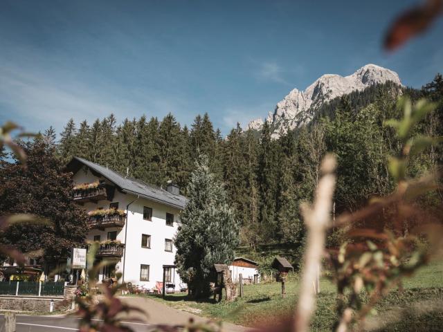 Gasthof - Pension Ödsteinblick — photo 9