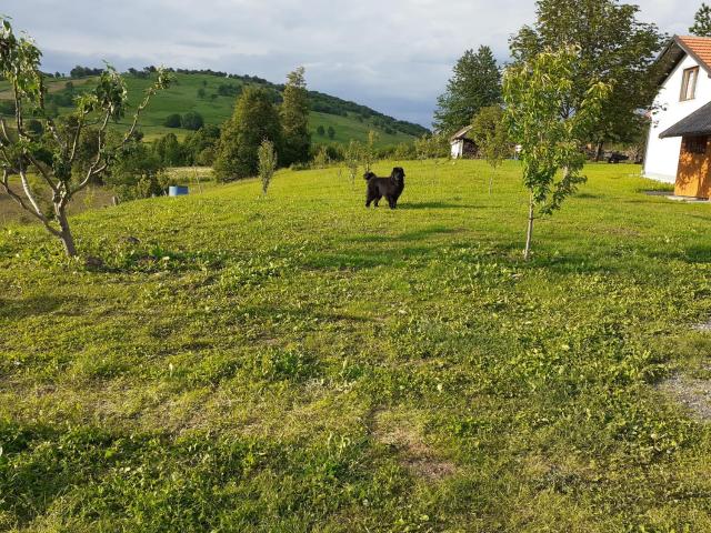 Guesthouse Blazenka Hodak — photo 18