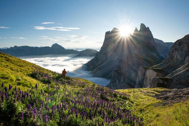 AppartChalet LA RONDULA - 100m from Seceda — photo 21