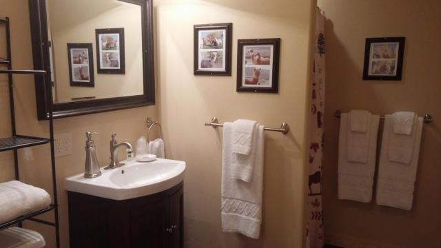 Alpaca Inn, The — photo 15
