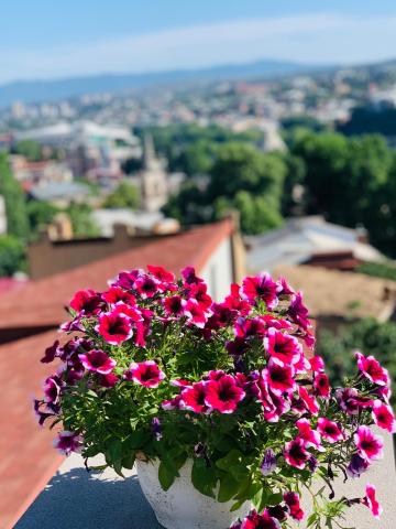 Betlemi Old Town Hotel — photo 22