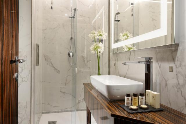 Le Boutique Hotel — photo 3