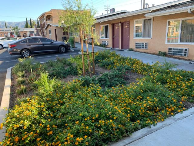 Desert Inn Motel — photo 14