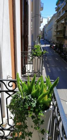 BARI 102 — photo 10