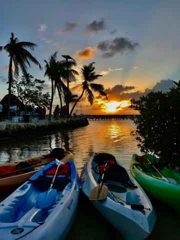 Coconut Palm Inn — photo 15