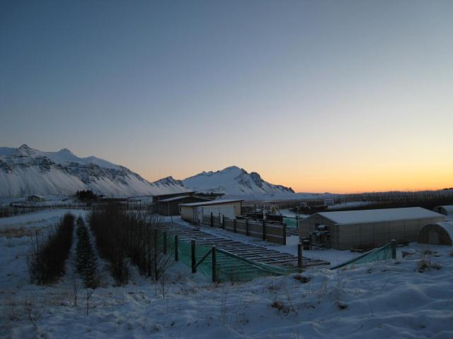 Dilksnes Guesthouse — photo 18