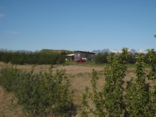 Dilksnes Guesthouse — photo 17