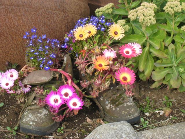 Dilksnes Guesthouse — photo 16