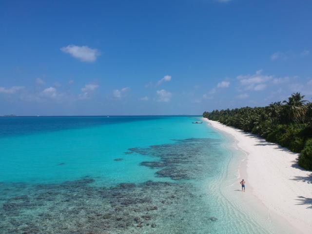 Boutique Beach All Inclusive Diving Hotel — photo 15