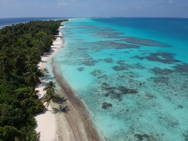 Boutique Beach All Inclusive Diving Hotel — photo 14
