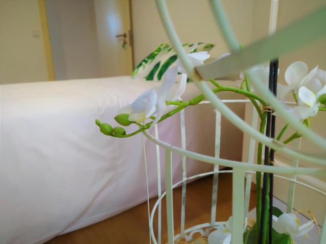 Casa do Castelo Ourém — photo 14