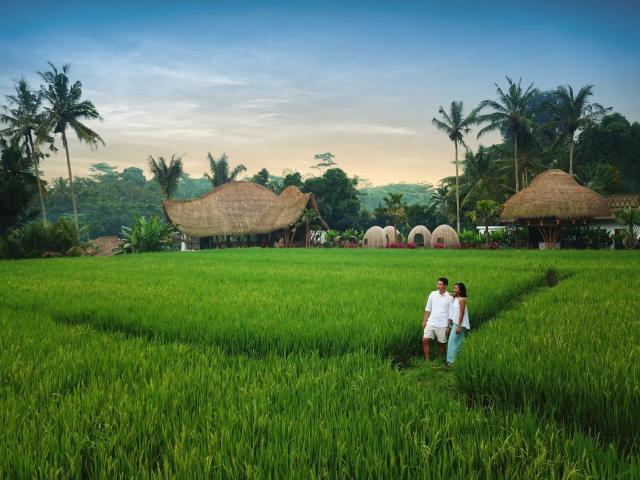 Keliki Luxury Lodge — photo 8